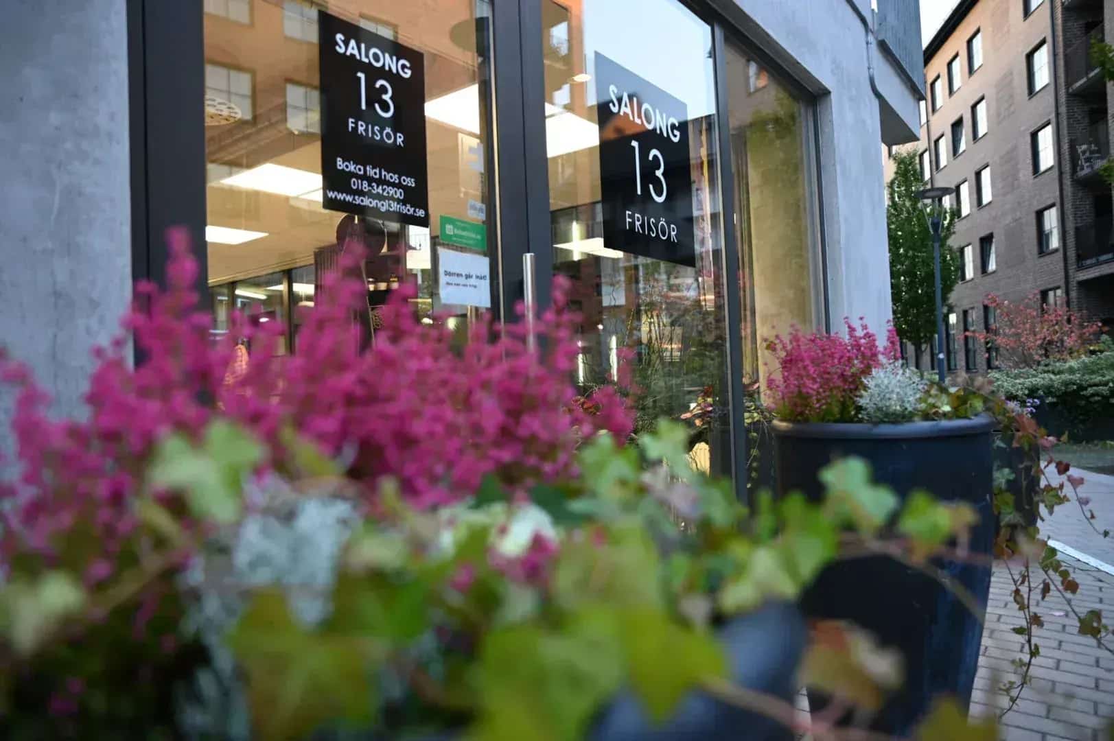 Entré till "Salong 13 Frisör" med rosa blommor i kruka. Grå byggnad i bakgrunden